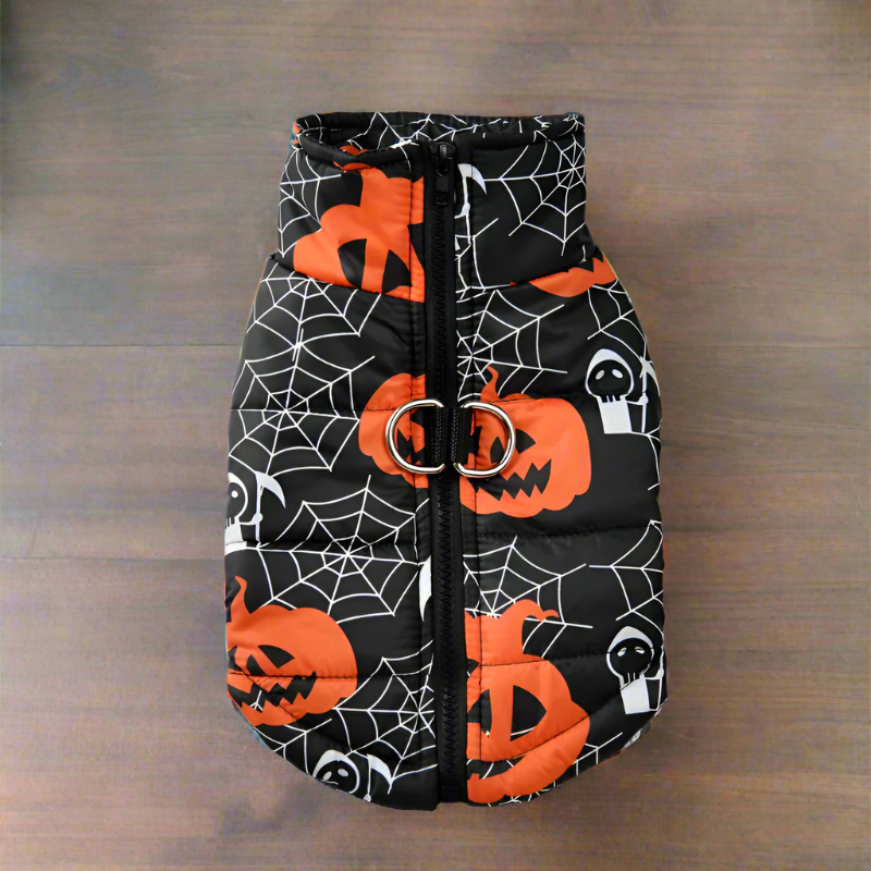 Halloween-themed dog coat with pumpkins and spider webs on a black background