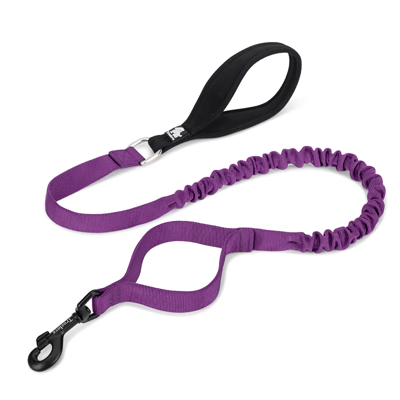 The Fur Pal x TrueLove: Flexible Elastic Dog Leash - The Fur Pal Dog quality premiumdogsupplies