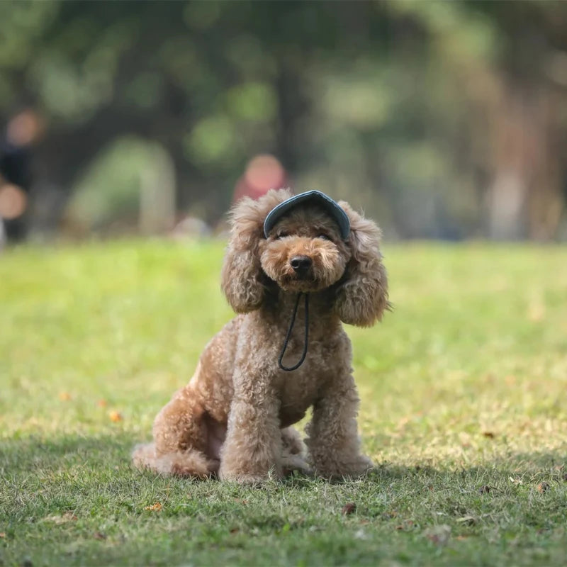 Top Dog Toppers