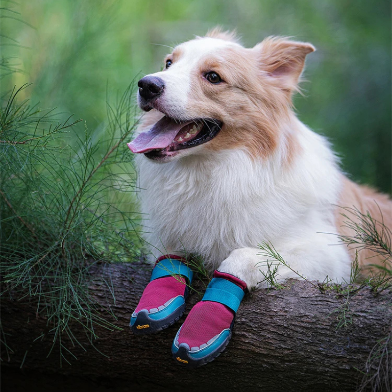 The Fur Pal x TrueLove Collection
