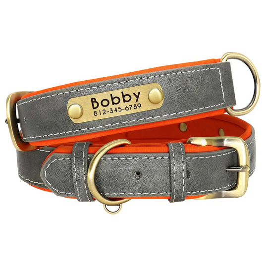 The Timeless Tail - Custom Engraved Luxe ID Collar