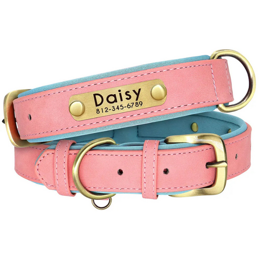 Polished Pup - Custom Engraved Luxe ID Collar