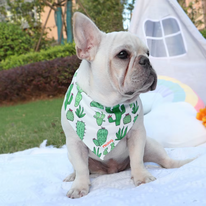 Add a touch of cuteness to your pup’s look with our Soft Cotton Dog Scarf! Multiple stylish designs, comfortable fit, and perfect for any outing. cactus nmode