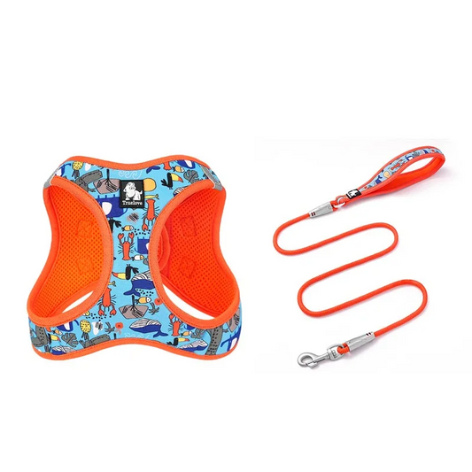 Firecracker Harness & Leash Set