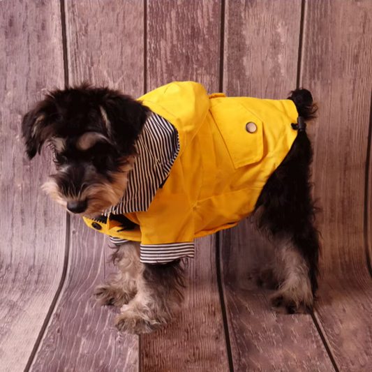 Keep your dog dry and stylish with the Ulti-Mate Full-Body Waterproof Dog Raincoat. Full coverage, adjustable fit, and reflective accents for safety in the rain. yellow with dog odel