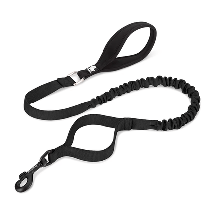 The Fur Pal x TrueLove: Flexible Elastic Dog Leash - The Fur Pal Dog quality premiumdogsupplies