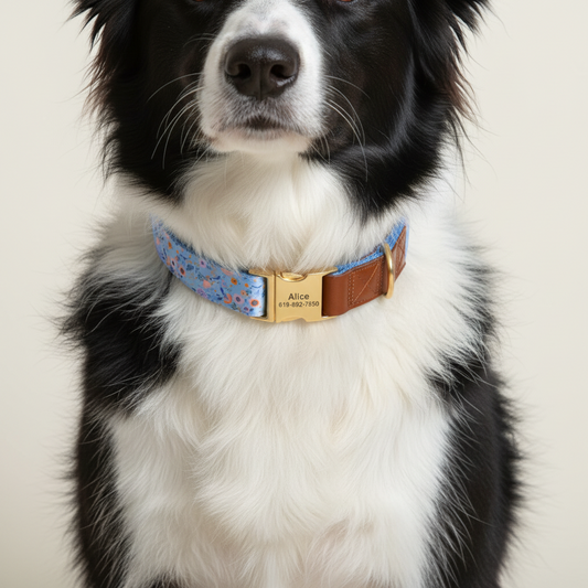 Floresça na brisa dos jacintos-azuis