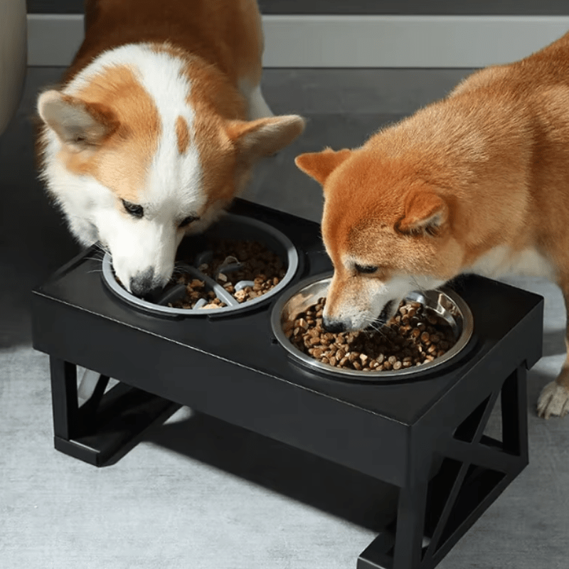 ElevateEase™ Adjustable Dog Bowl Stand – Comfort Meets Style - The Fur Pal Dog quality premiumdogsupplies