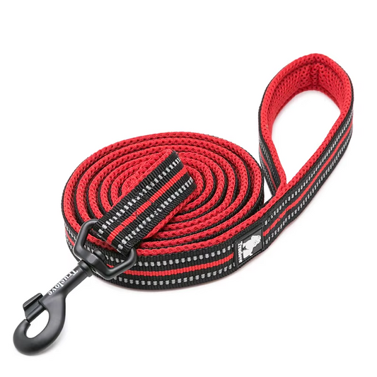 Correa para perros de malla reflectante premium: suave acolchado y nailon 3M
