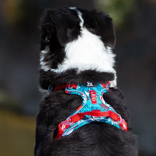 Truelove Tactical Camo Harness – Reflective & Explosion-Proof Dog Harness