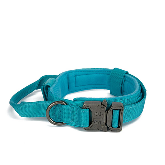 Blue Tactical Dog Collar