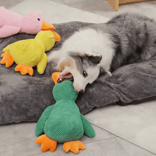 Interactive Plush Duck Dog Toy - Soft, Squeaky & Fun - The Fur Pal Dog quality premiumdogsupplies