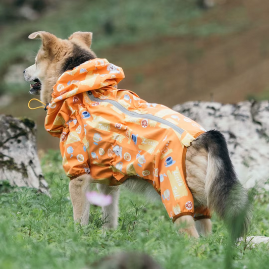 Protect your dog from rain and mud with the Ultimate Full-Body Waterproof Dog Raincoat. Complete coverage, adjustable fit, and reflective safety features for all-weather walks! orange