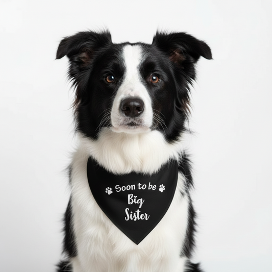 Em breve, irmã mais velha