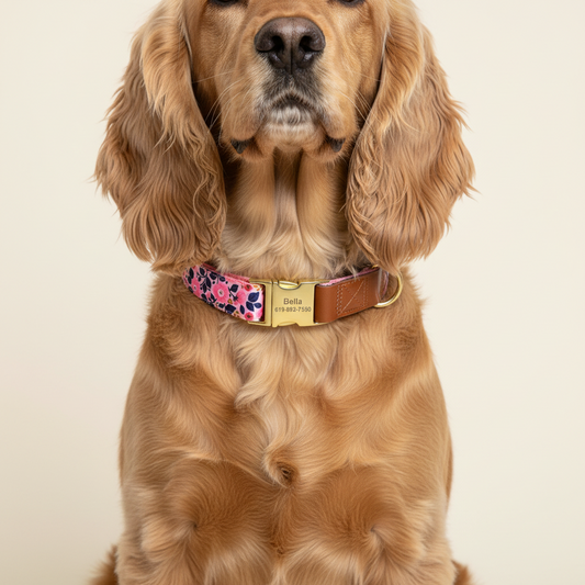 Floresça num estalo de pétalas