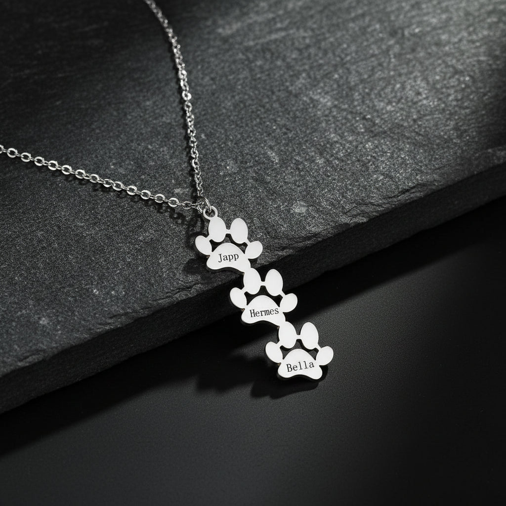 custom engraved necklace with dog paws to customize with your dog name 3 silver paw