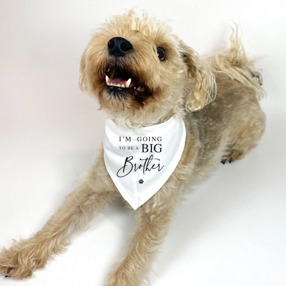 I'm going to be a Big BROTHER printed Dog Bandana Scarf