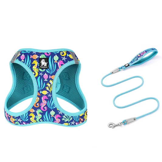Harness & Leash Set
