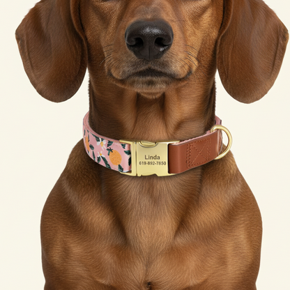 Floresça em tom pêssego rosado