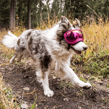 Pinkie ATUBAN Dog Goggles - Anti - UV, Impact Resistant & Adjustable Sunglasses for Large Breeds - The Fur Pal Dog quality premiumdogsupplies