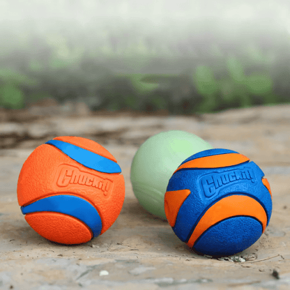 Non - toxic Outdoor Play Dog Ball - The Fur Pal Dog quality premiumdogsupplies