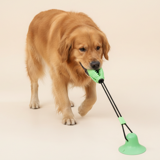 Interactive Suction Cup Dog Toy with Large Treat Ball - The Fur Pal Dog quality premiumdogsupplies