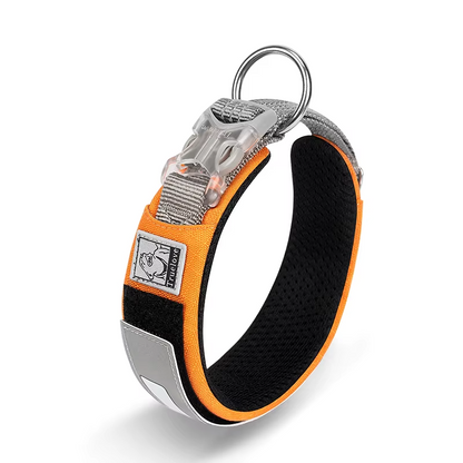 The Fur Pal x TrueLove: Reflective Multifunctional Pet Collar