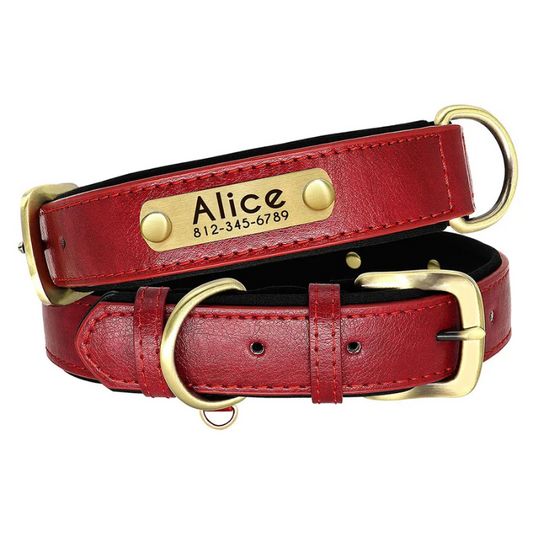 The Loyal Look - Custom Engraved Luxe ID Collar