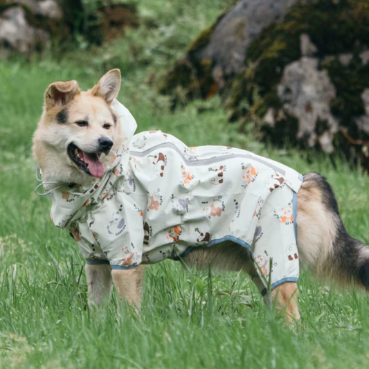 Protect your dog from rain and mud with the Ultimate Full-Body Waterproof Dog Raincoat. Complete coverage, adjustable fit, and reflective safety features for all-weather walks! grey
