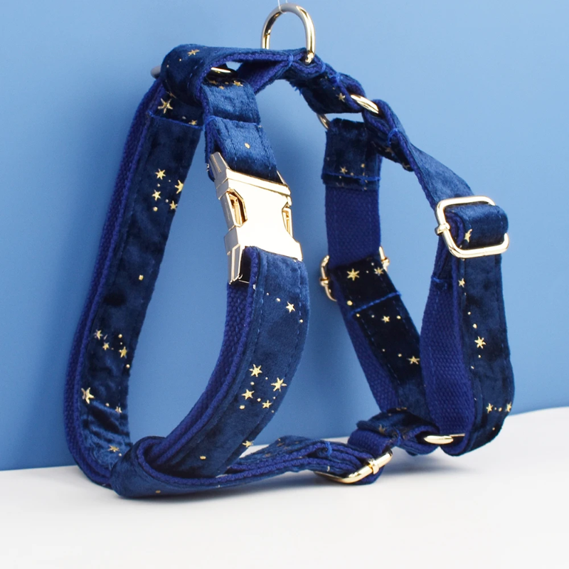 Cão aconchegante de Natal