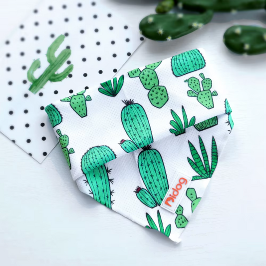 Add a touch of cuteness to your pup’s look with our Soft Cotton Dog Scarf! Multiple stylish designs, comfortable fit, and perfect for any outing.cactus