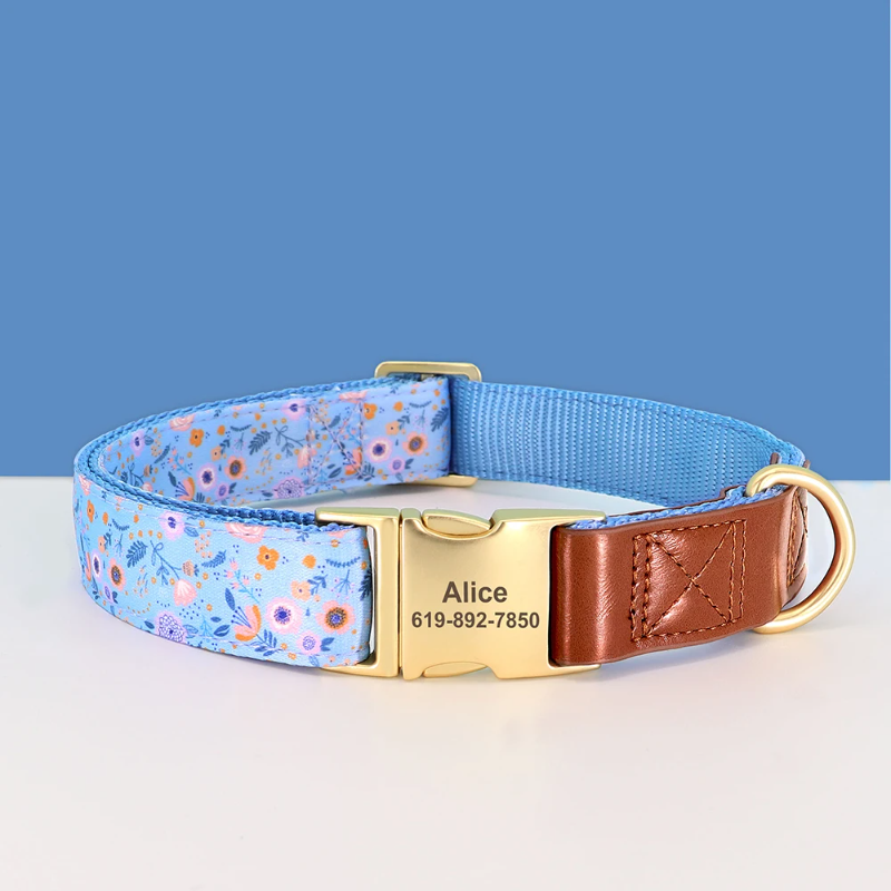 Dog collar with floral pattern, brown leather strap, and gold buckle on a blue background