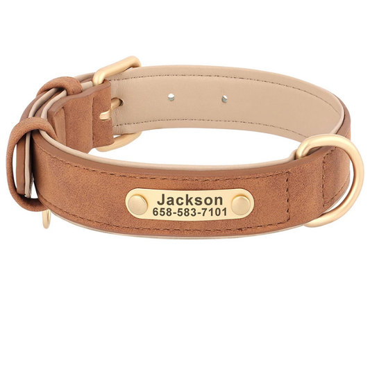 Velvet Fang - Custom Engraved Luxe ID Collar