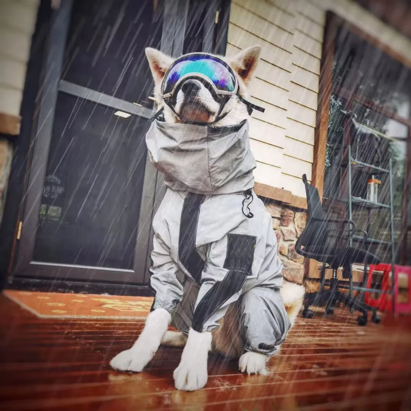 HydroGuard™ Waterproof Reflective Dog Raincoat