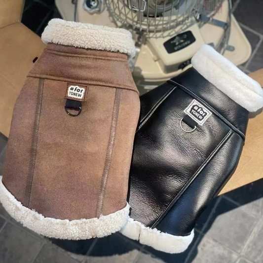 Cozy Winter Vest – Warm Jacket for Small Dogs