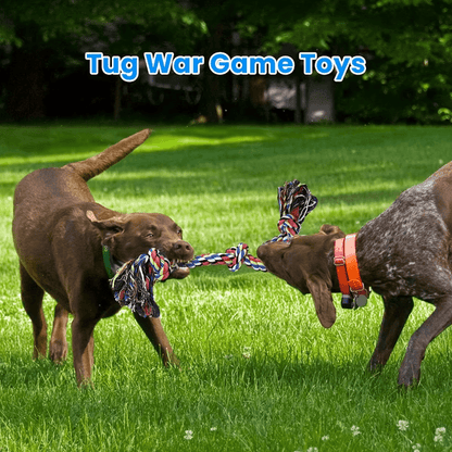 Indestructible Dog Knot Toy for Tug Of War - The Fur Pal Dog quality premiumdogsupplies