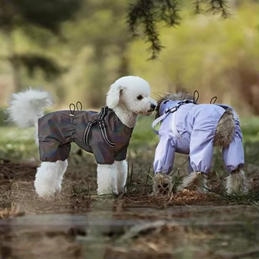 PawsRaincoat™ - All-in-One Dog Raincoat with Built-In Harness
