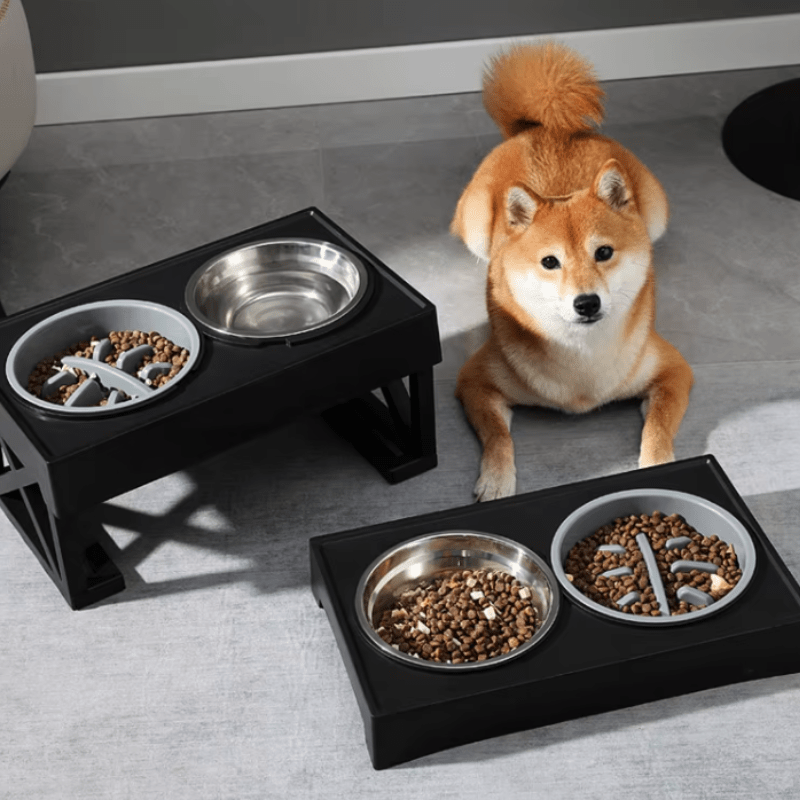 ElevateEase™ Adjustable Dog Bowl Stand – Comfort Meets Style - The Fur Pal Dog quality premiumdogsupplies