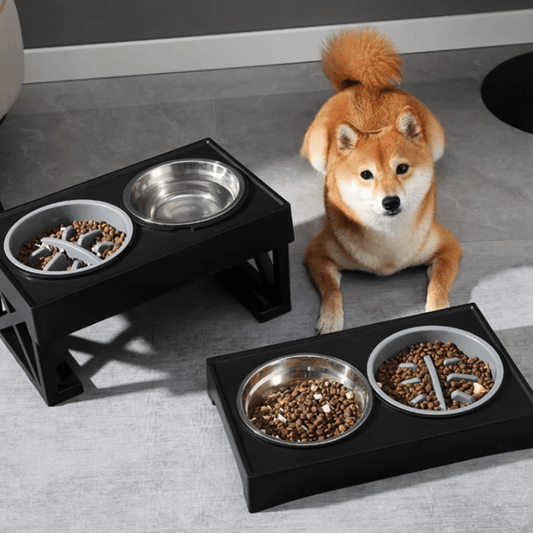 ElevateEase™ Adjustable Dog Bowl Stand – Comfort Meets Style - The Fur Pal Dog quality premiumdogsupplies