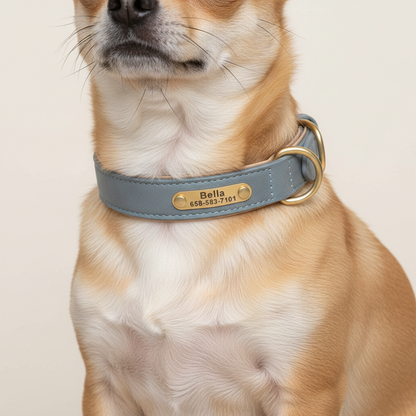 Sociedade de Cachorros Elegantes