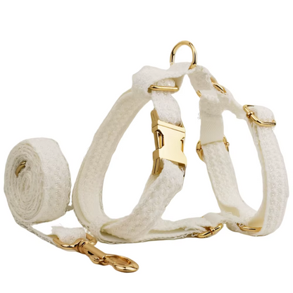 Coleira elegante de renda branca personalizada para cães com placa de identificação gravada personalizada