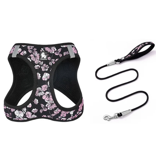 Black Sakura Harness & Leash Set