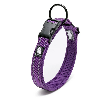 The Fur Pal x TrueLove: Adjustable Nylon Dog Collar