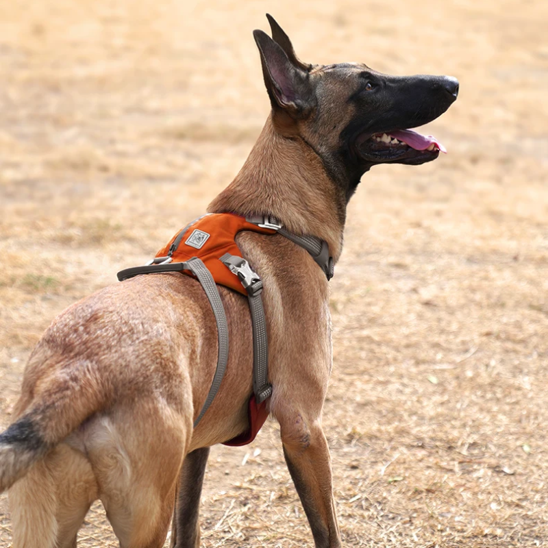 Laranjada: À prova de fugas