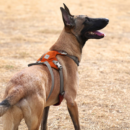 Laranjada: À prova de fugas