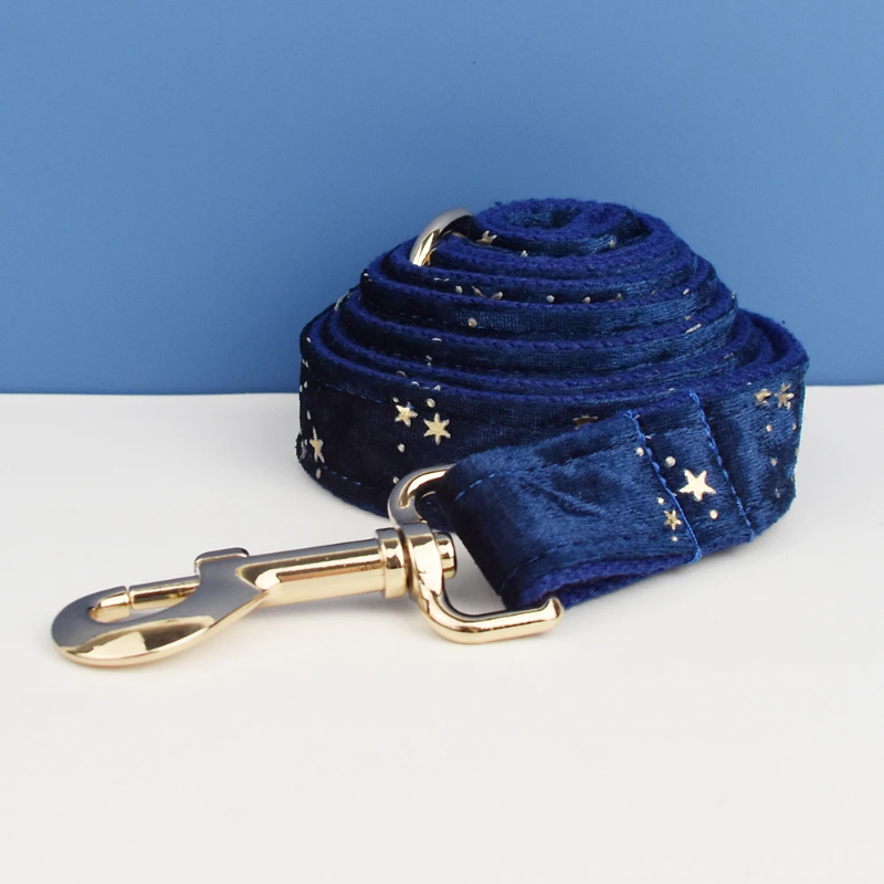 Cão aconchegante de Natal