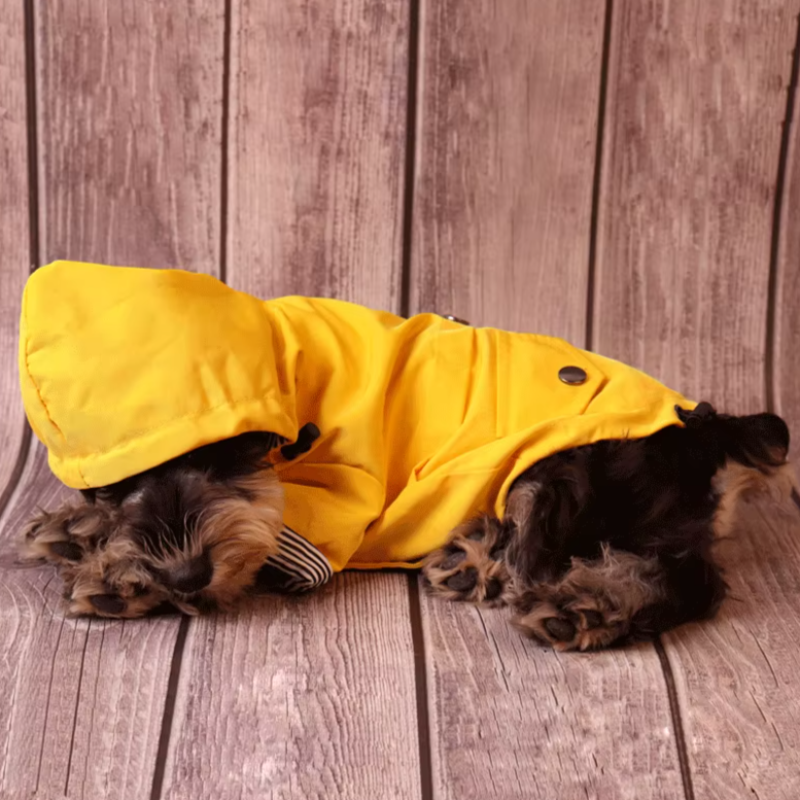 Keep your dog dry and stylish with the Ulti-Mate Full-Body Waterproof Dog Raincoat. Full coverage, adjustable fit, and reflective accents for safety in the rain. dog aying on the floor with hoodie and yellow rain jacket on