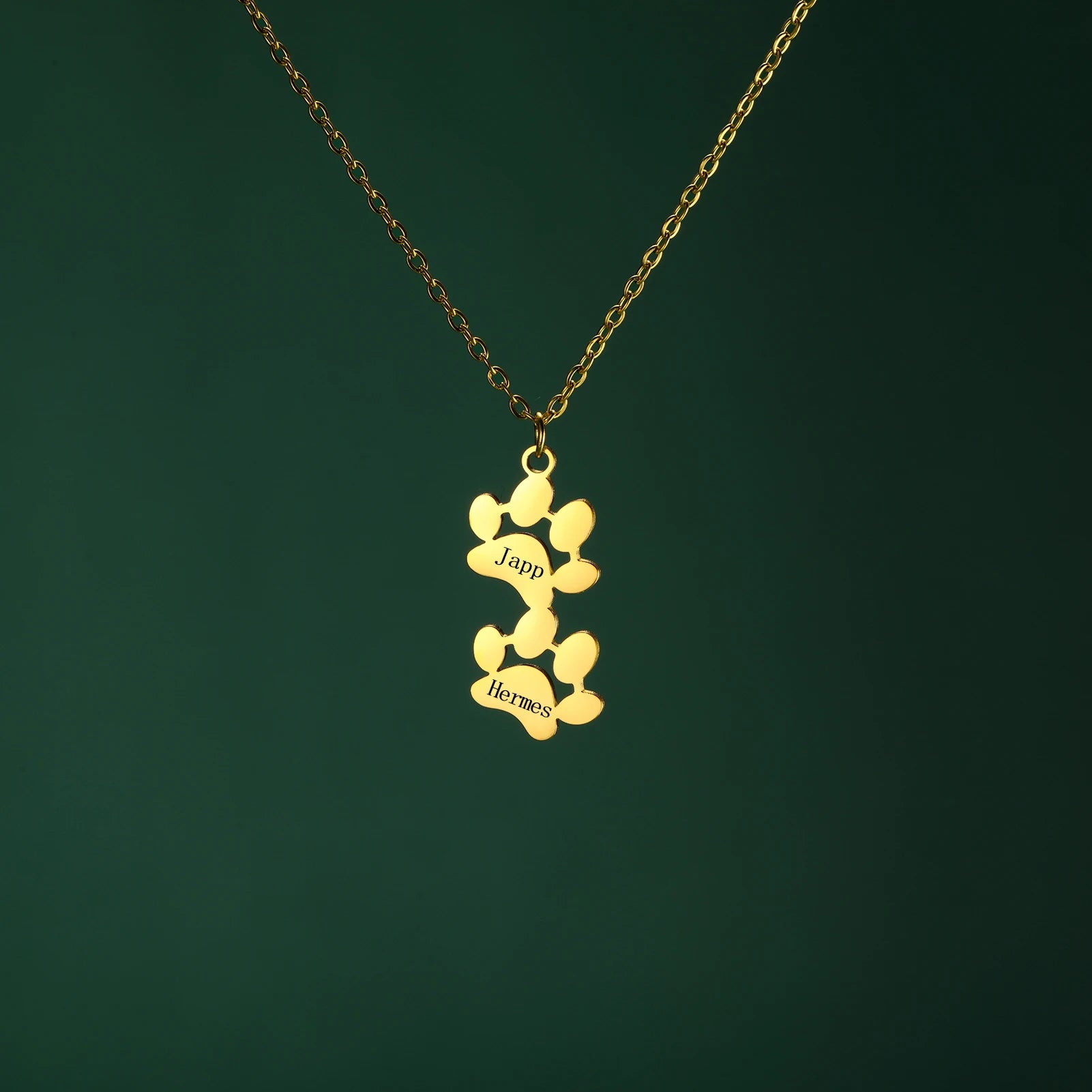 custom engraved necklace with dog paws to customize with your dog name 2 gold paw