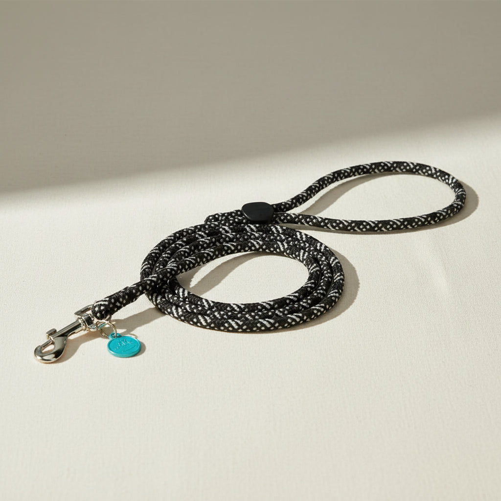 Black and white patterned dog leash on a white background