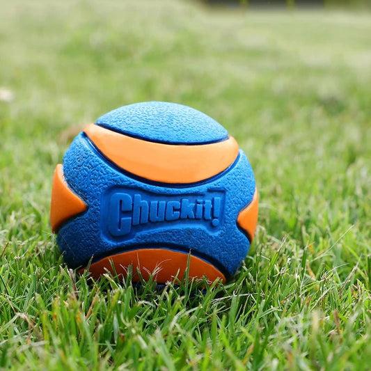Non - toxic Outdoor Play Dog Ball - The Fur Pal Dog quality premiumdogsupplies